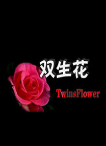 雙生花