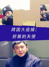 跨國(guó)大追捕：折翼的天使