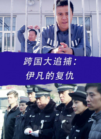 跨國(guó)大追捕：伊凡的復(fù)仇