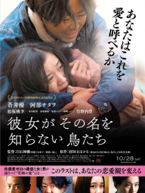 她不知道名字的那些鸟儿