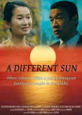 不一样的太阳