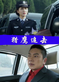 獵鷹追擊