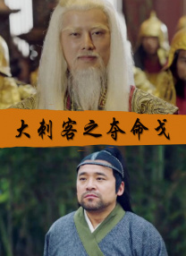 大刺客之奪命戈