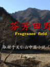 芬芳田野
