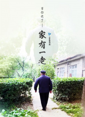 家有一老