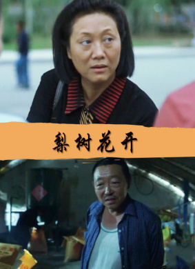 梨树花开