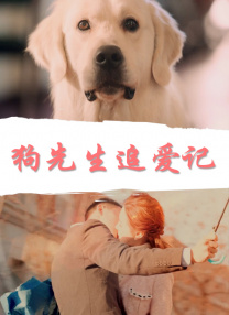 狗先生追愛(ài)記