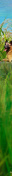 ˹½