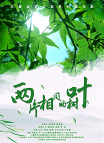 兩片相同的樹葉