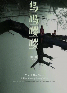 鸟鸣嘤嘤cry of the birds(2020)_1905电影网