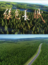 綠色長(zhǎng)城