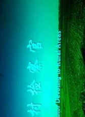 鄉(xiāng)村檢察官