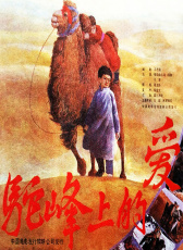 駝峰上的愛