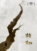 ֿݳӦ赸