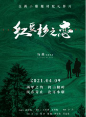 紅豆杉之戀