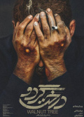 胡桃樹