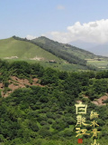 绿水青山白龙江