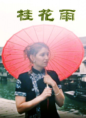 桂花雨