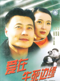 愛(ài)在生死邊緣
