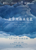 一直游到海水变蓝