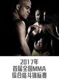 2017年首届全国MMA综合格斗锦标赛