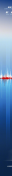 ˫