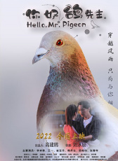 你好，鸽先生