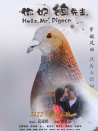 你好，鸽先生