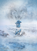 ѡ۽