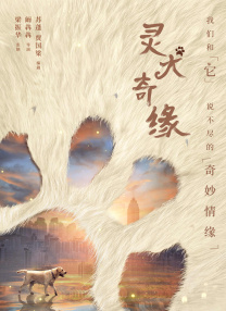 靈犬奇緣