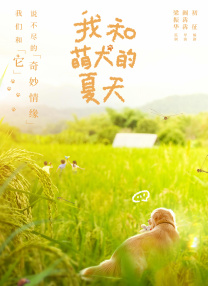 我和萌犬的夏天