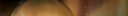 ƨ