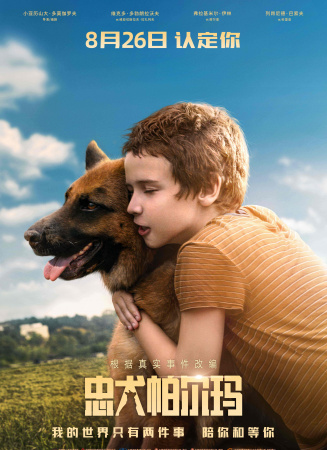 忠犬帕尔玛