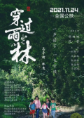 穿过雨林