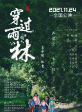 穿過雨林