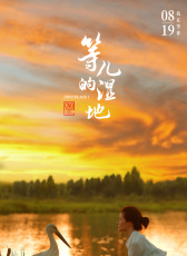 等兒的濕地