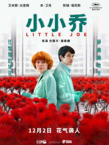 小小乔