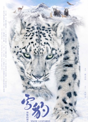 雪豹和她的朋友们Snow Leopards and Friends(2023)