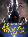 陸小鳳傳奇之繡花大盜
