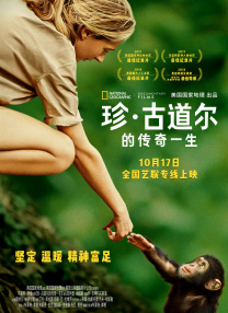 珍·古道尔的传奇一生