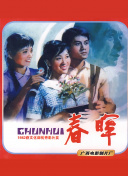春晖