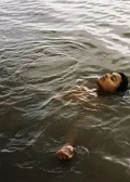 鸟