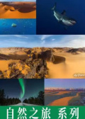 自然之旅VR：极光魅影/沙丘日夜/与鲨同舞/环游世界