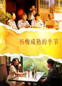 楊梅成熟的季節(jié)