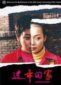 過(guò)年回家