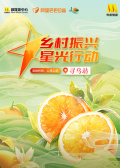 乡村振兴·星光行动寻乌站融媒体直播