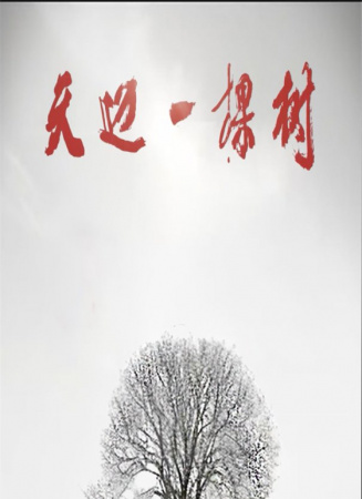 天邊一棵樹