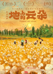地上的云朵
