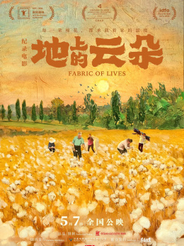 地上的云朵
