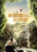 熊猫奇遇记